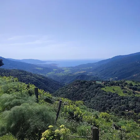 Апартаменты Rose Corse - Grand Etage Vue Valinco 4 Pers