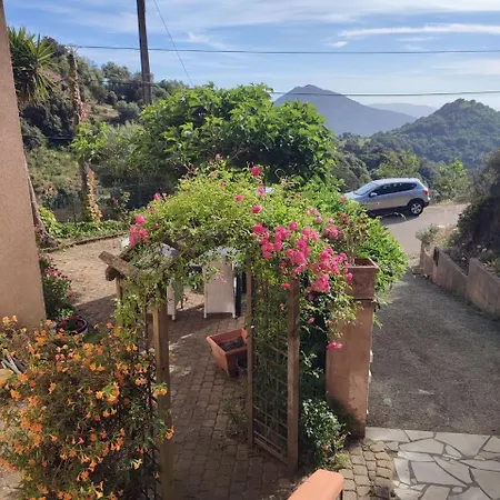 Rose Corse - Grand Etage Vue Valinco 4 Pers *